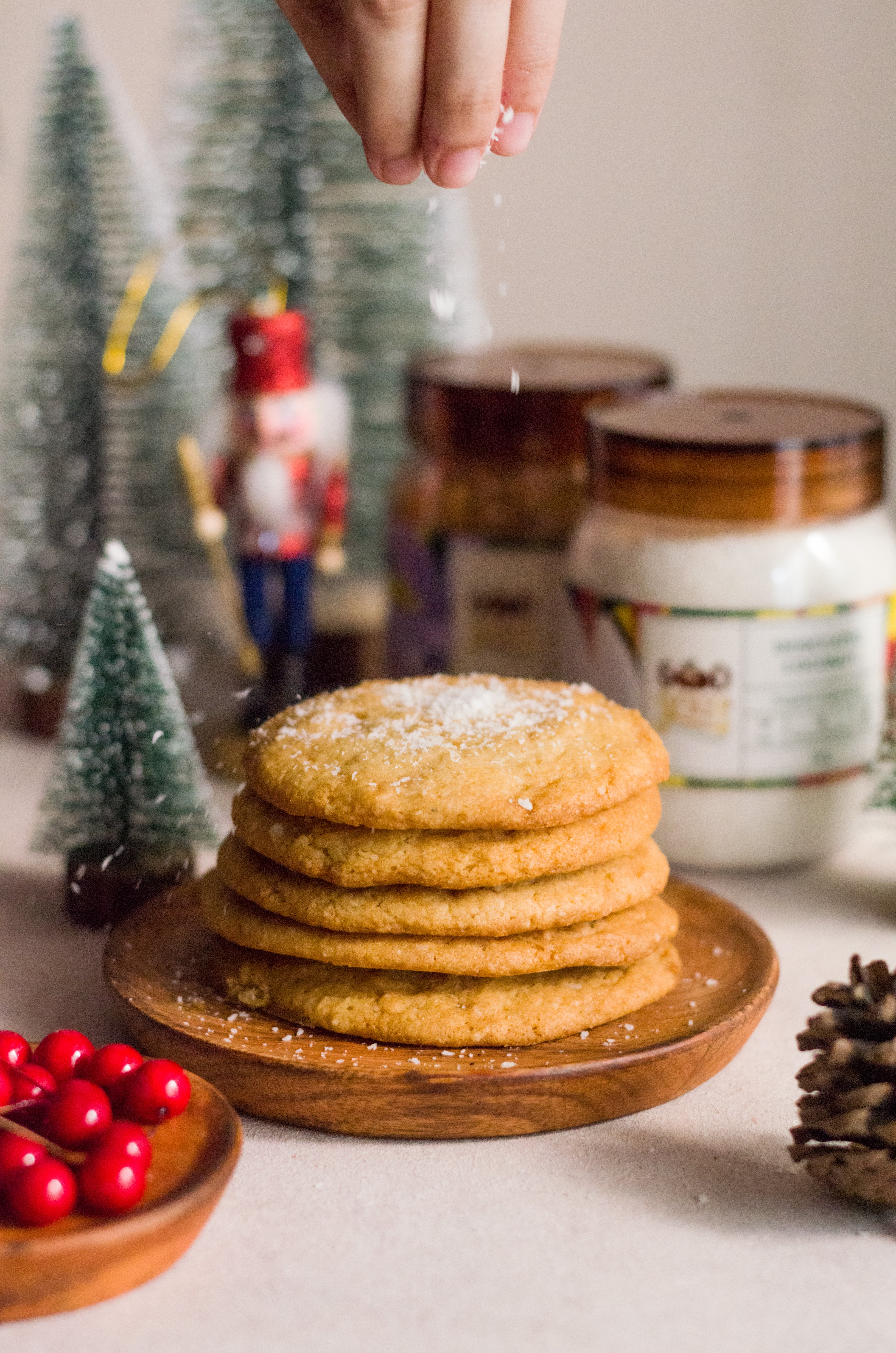 Coconut Cookies